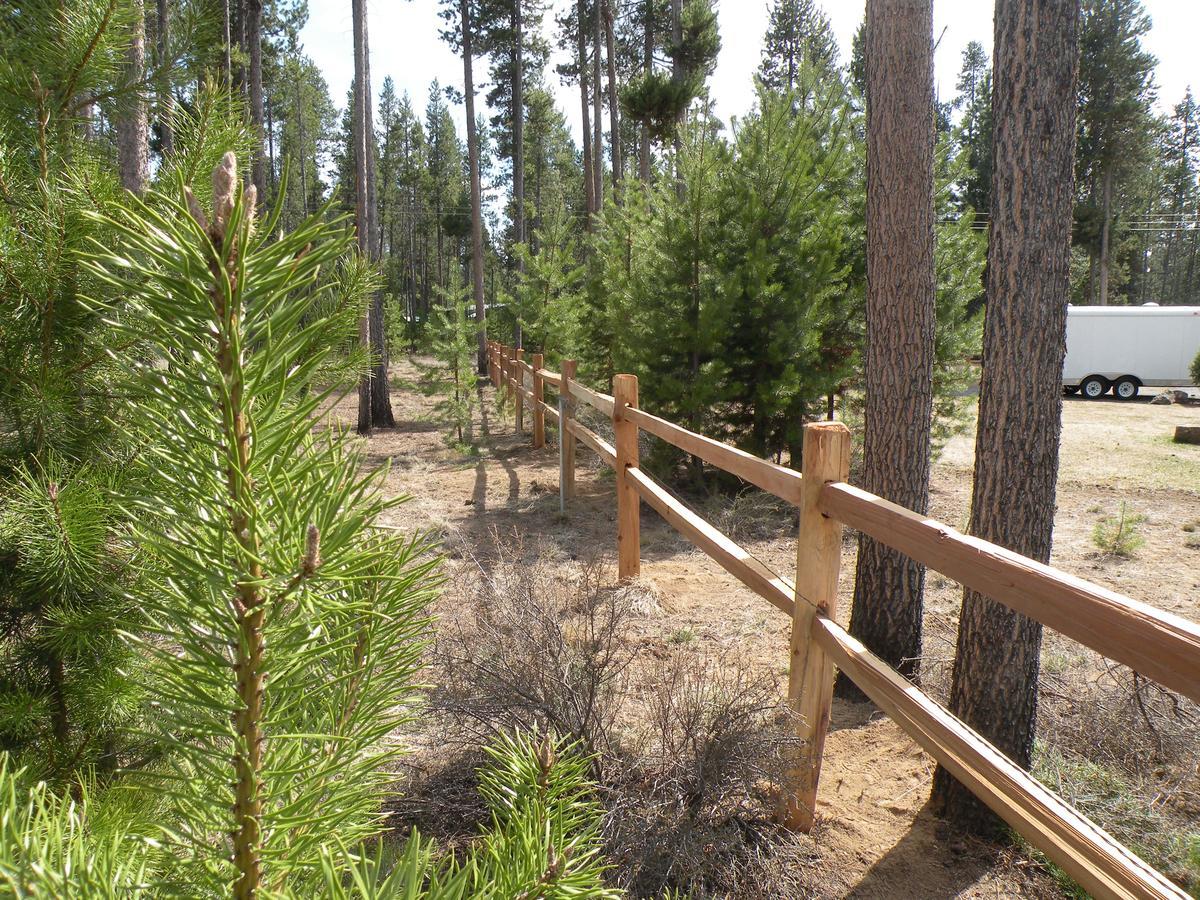 Cozy Cabin Lapine La Pine Quarto foto